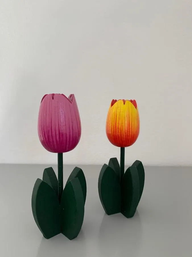 Dutch Tulip Medulin Apartment